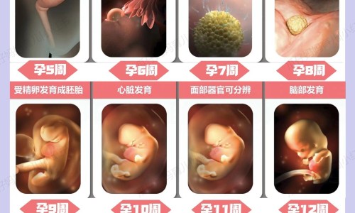 怀孕期间痔疮犯了可以用痔疮膏吗-孕妇痔疮可以用药吗、孕妇痔疮能抹蜂蜜吗有影响吗 -孕妇痔疮能抹蜂蜜吗网